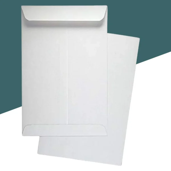 White Office Envelopes